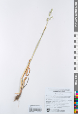 KPABG105496