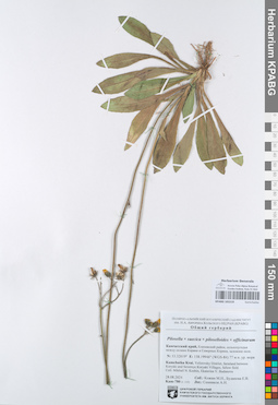 KPABG105519