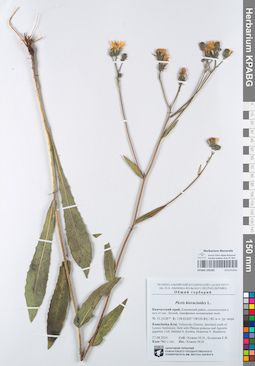 KPABG105585