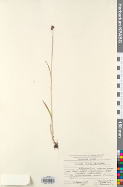 KPABG012393