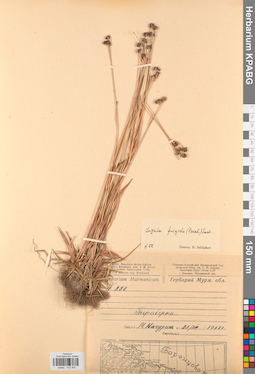 KPABG012405