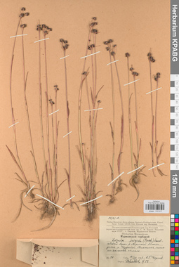 KPABG012417