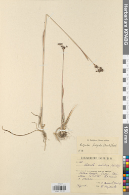 KPABG012420