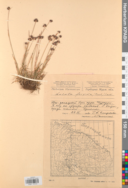 KPABG012443