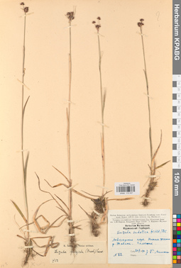 KPABG012457