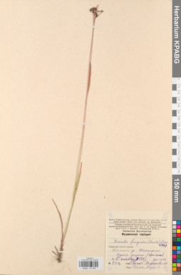KPABG012467