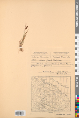 KPABG012468