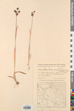 KPABG012471