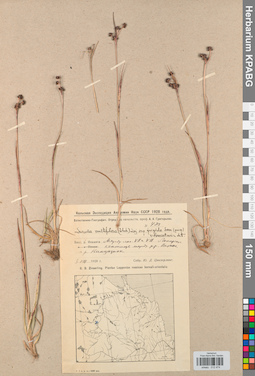 KPABG012474