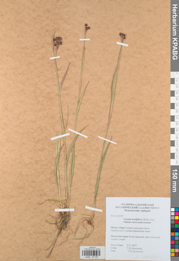 KPABG012502