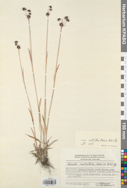 KPABG012512