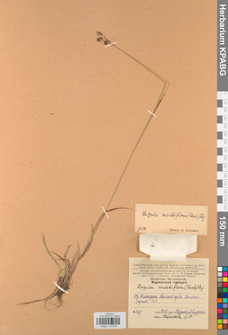 KPABG012515