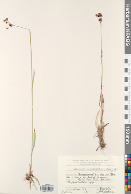KPABG012530