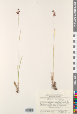 KPABG012531