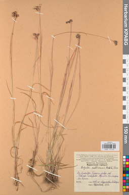 KPABG012539