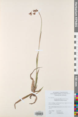 KPABG012564