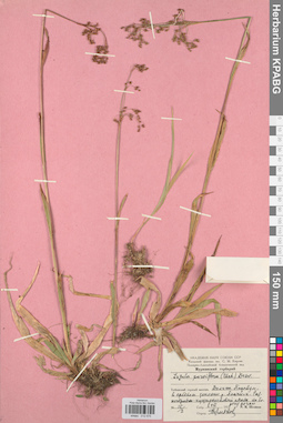 KPABG012575
