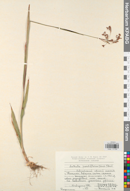 KPABG012589