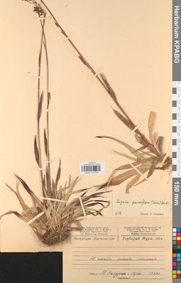KPABG012599