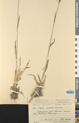 KPABG012604