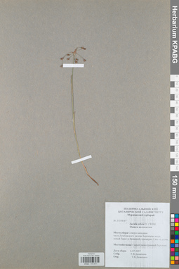 KPABG012611