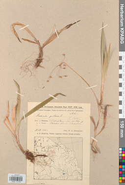 KPABG012635