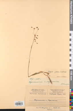 KPABG012637
