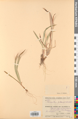 KPABG012638