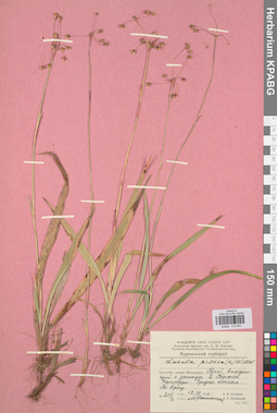 KPABG012643