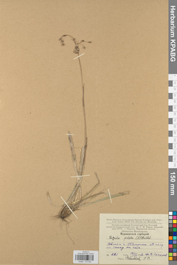 KPABG012652