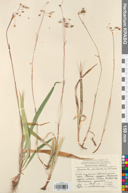KPABG012660