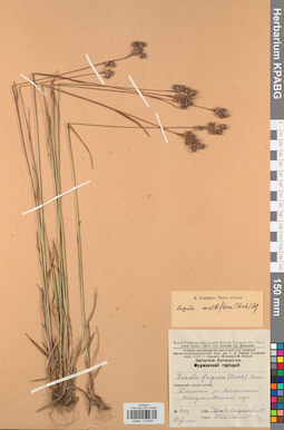 KPABG019584