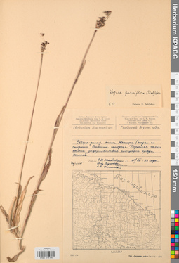 KPABG019586