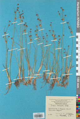 KPABG012044