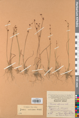 KPABG012045