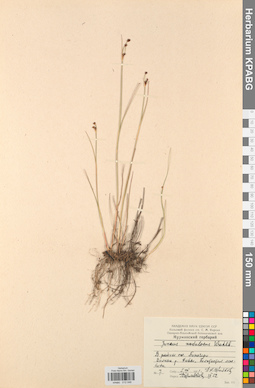 KPABG012046