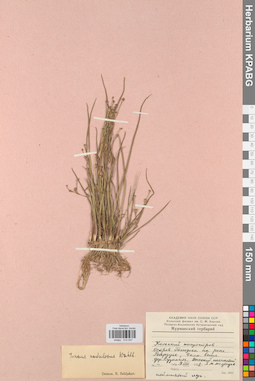 KPABG012047
