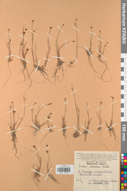 KPABG012049