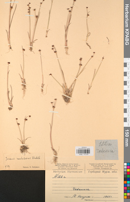KPABG012050