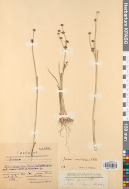 KPABG012051