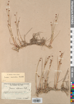 KPABG012060