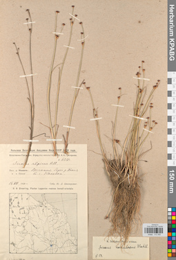 KPABG012062