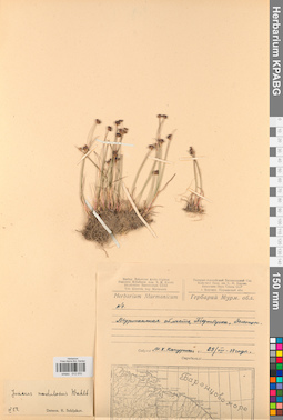 KPABG012070