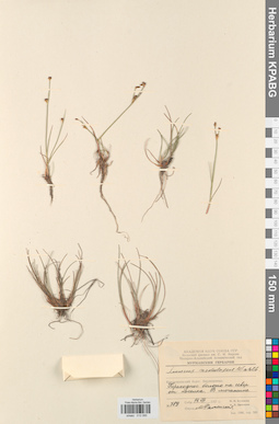 KPABG012085