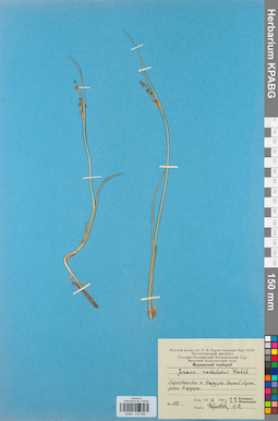 KPABG012086
