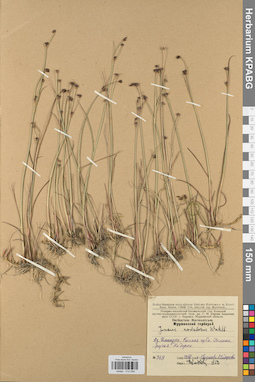 KPABG012094