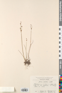 KPABG012096