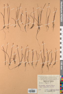 KPABG012129