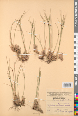 KPABG012144