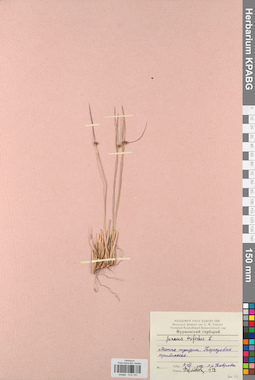 KPABG012151
